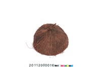 藏品(椰殼容器)的圖片