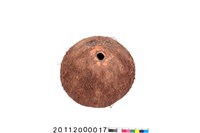 藏品(椰殼容器)的圖片