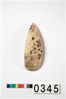 藏品(貝錛)的圖片