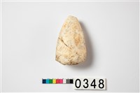 藏品(貝錛)的圖片