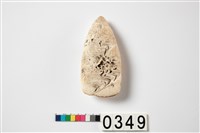 藏品(貝錛)的圖片