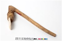 藏品(貝錛)的圖片