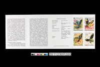 藏品(郵票發行說明小冊)的圖片