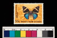 藏品(郵票)的圖片