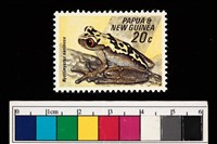 藏品(郵票)的圖片