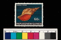 藏品(郵票)的圖片