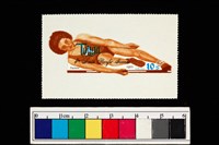 藏品(郵票)的圖片