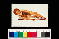 藏品(郵票)的圖片