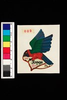 藏品(郵票)的圖片