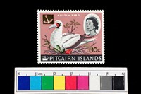 藏品(郵票)的圖片