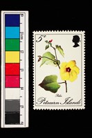 藏品(郵票)的圖片