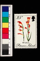 藏品(郵票)的圖片