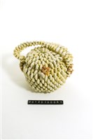 藏品(貝殼工藝品)的圖片