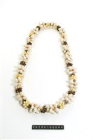 藏品(貝飾)的圖片