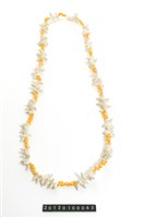 藏品(貝飾)的圖片