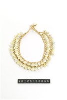 藏品(貝飾)的圖片