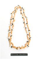 藏品(貝飾)的圖片