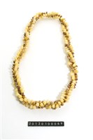 藏品(貝飾)的圖片