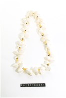 藏品(貝飾)的圖片