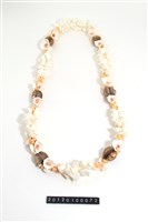 藏品(貝飾)的圖片