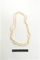 藏品(貝飾)的圖片