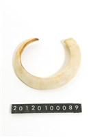 藏品(豬牙)的圖片