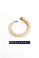 藏品(山豬牙)的圖片