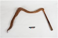 藏品(木杖)的圖片