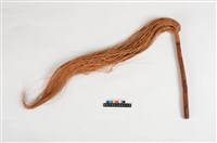 藏品(木杖)的圖片