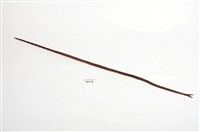 藏品(木槍)的圖片