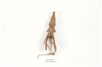 藏品(獨木舟船首)的圖片