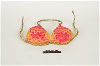 藏品(胸罩)的圖片