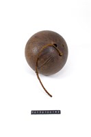 藏品(椰殼)的圖片