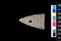 藏品(矛鏃)的圖片