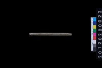 藏品(石針)的圖片