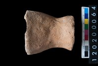 藏品(陶杯)的圖片