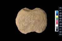 藏品(石網墜)的圖片