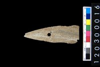 藏品(矛鏃)的圖片