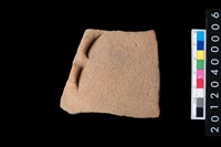 藏品(腹片)的圖片