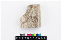 藏品(玉廢料)的圖片