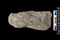 藏品(打製石斧)的圖片