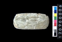 藏品(玉錛)的圖片