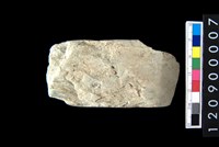 藏品(玉錛)的圖片