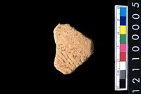 藏品(腹片)的圖片