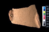 藏品(腹片)的圖片