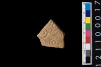 藏品(腹片)的圖片