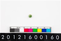 藏品(鈴形玉珠)的圖片