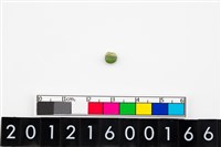 藏品(鈴形玉珠)的圖片