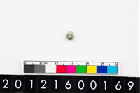 藏品(鈴形玉珠)的圖片