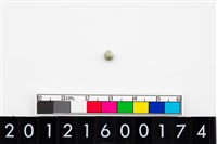 藏品(鈴形玉珠)的圖片